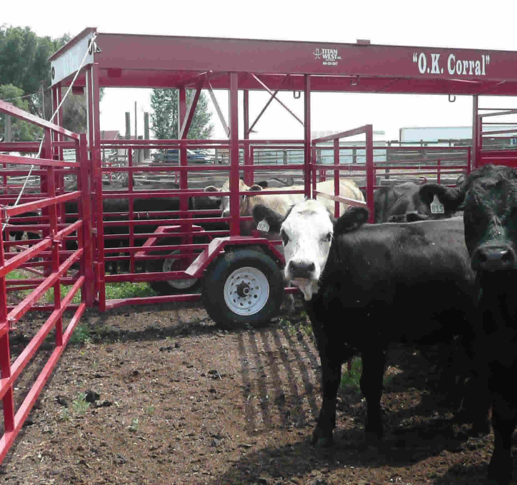 Ok Portable Cattle Corrals
